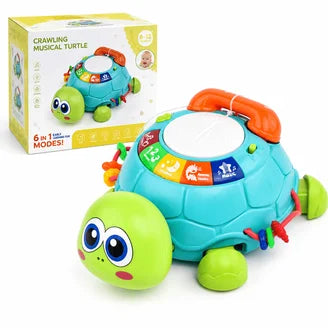 Musical Turtle